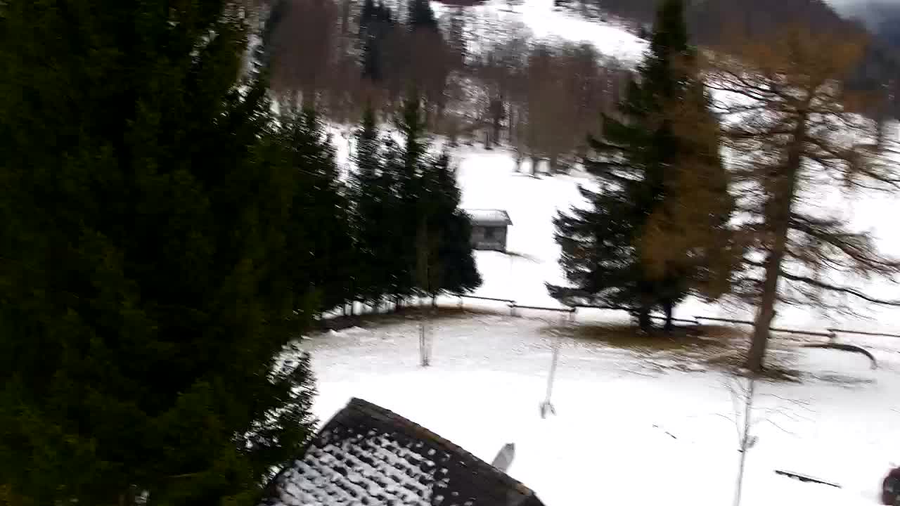 Camera en vivo Lokve – La belleza del bosque de Trnovo