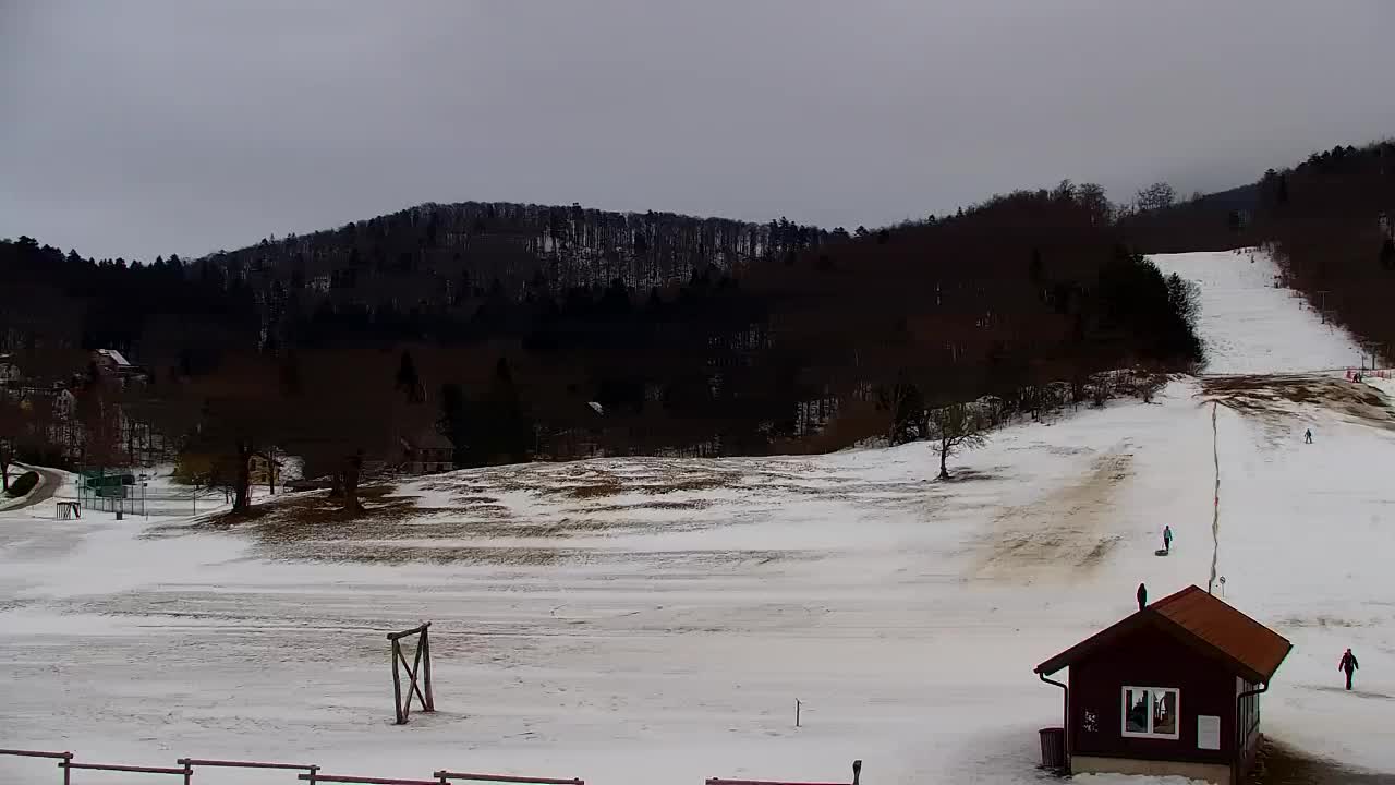 Webcam Lokve – The beauty of the Trnovo forest