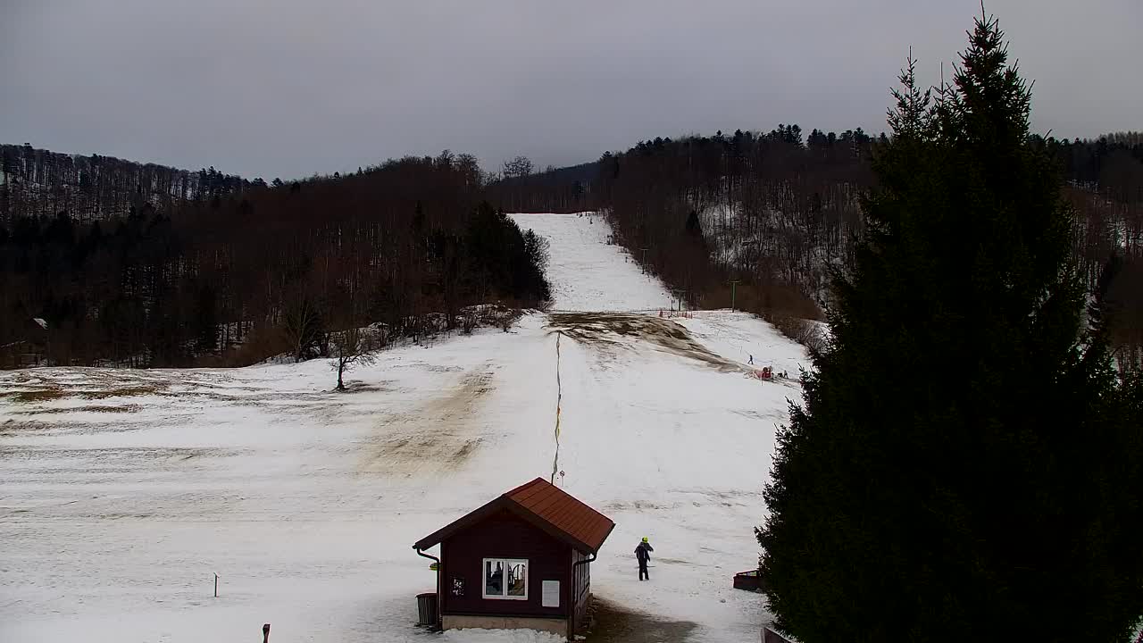 Webcam Lokve – The beauty of the Trnovo forest