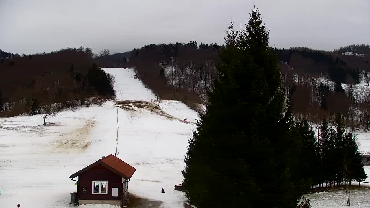 Webcam Lokve – La beauté de la forêt de Trnovo