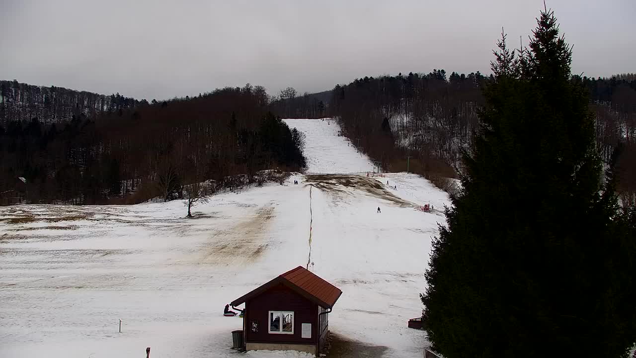 Webcam Lokve – The beauty of the Trnovo forest