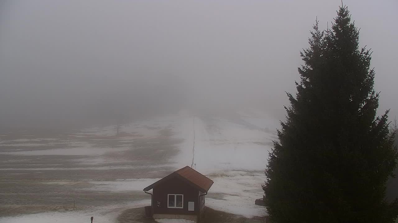 Webcam Lokve – La beauté de la forêt de Trnovo