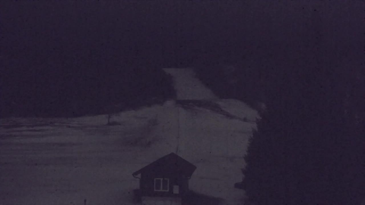 Webcam Lokve – The beauty of the Trnovo forest