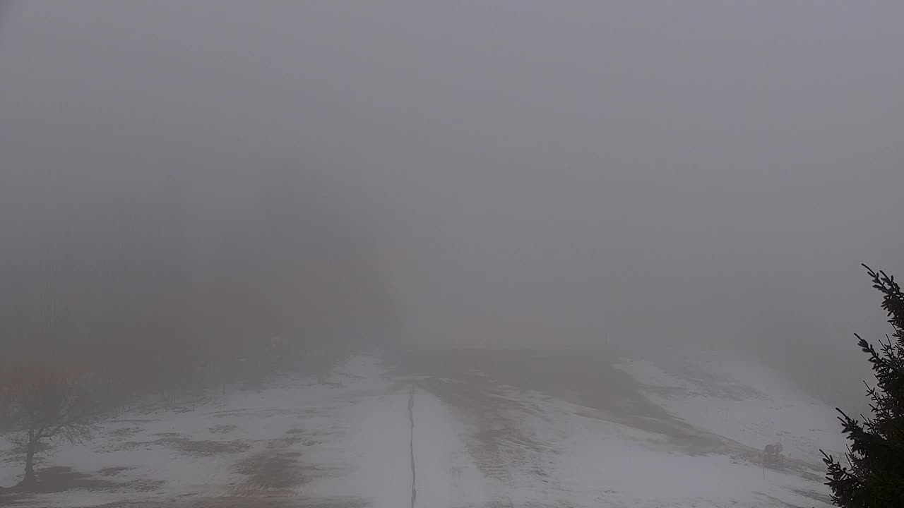 Web kamera Lokve – Ljepota Trnovske šume