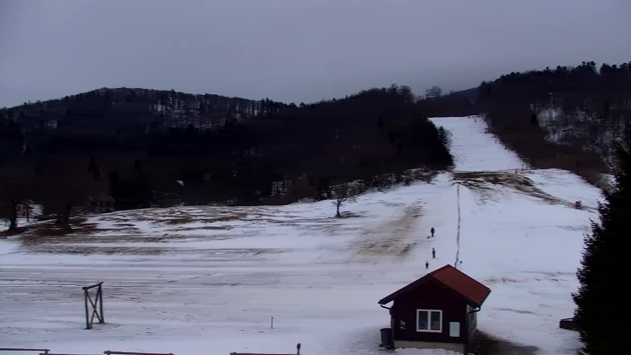 Lokve kamera – Naravne lepote Trnovskega gozda