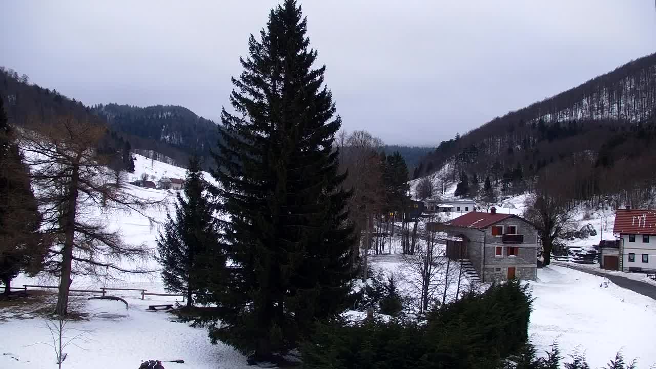 Web kamera Lokve – Ljepota Trnovske šume