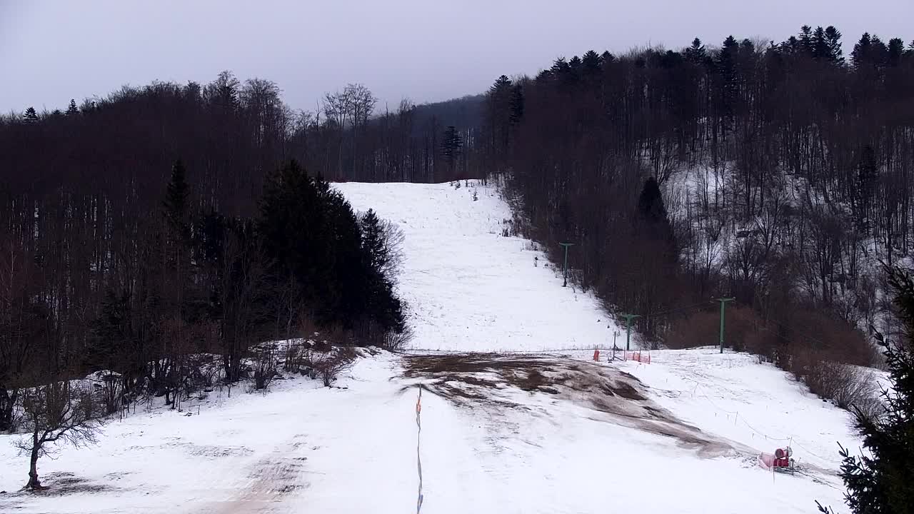 Lokve kamera – Naravne lepote Trnovskega gozda