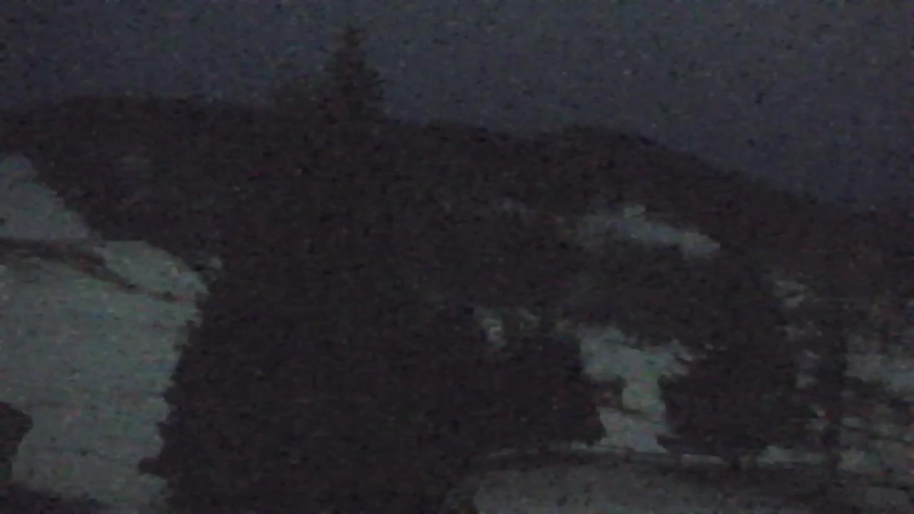 Webcam Lokve – Die Schönheit des Trnovo-Waldes