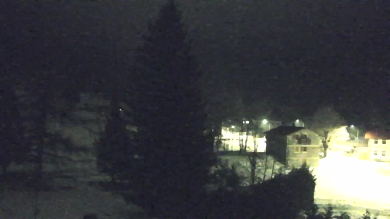 Webcam Lokve – The beauty of the Trnovo forest