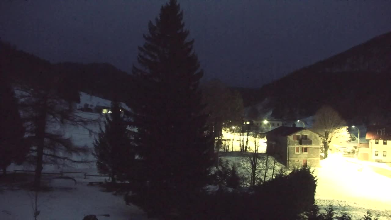 Webcam Loqua / Lokve – La bellezza della selva di Tarnova