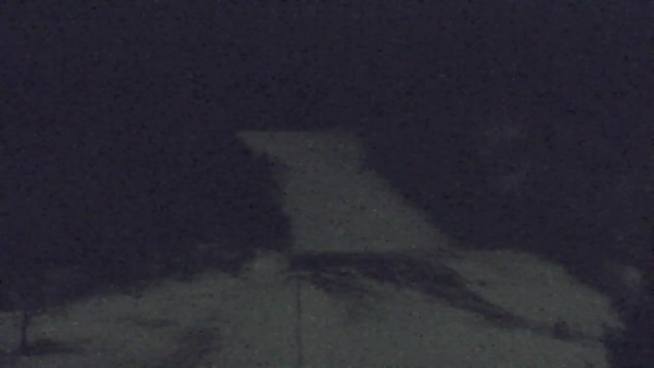 Webcam Lokve – La beauté de la forêt de Trnovo