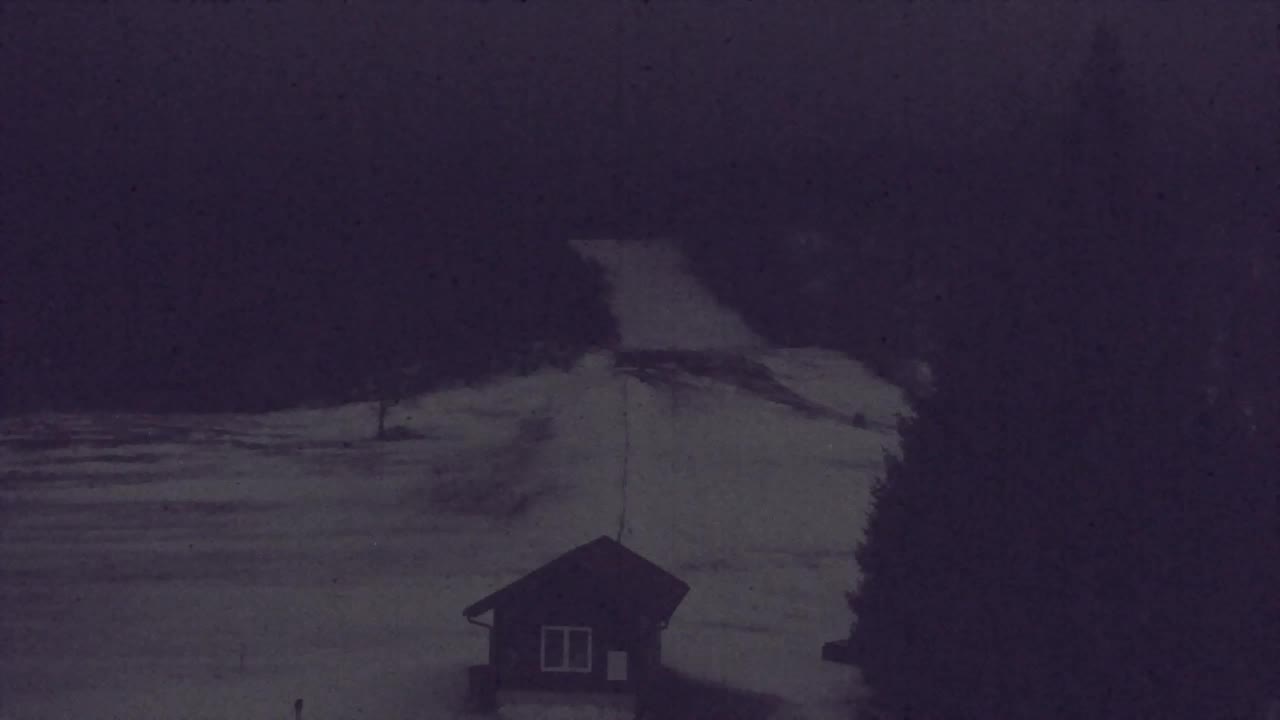 Camera en vivo Lokve – La belleza del bosque de Trnovo