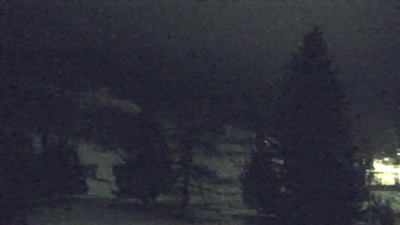 Webcam Loqua / Lokve – La bellezza della selva di Tarnova