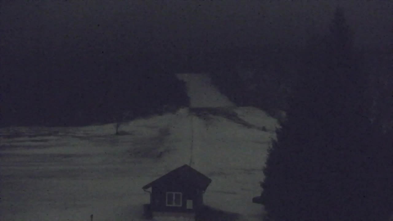 Webcam Lokve – La beauté de la forêt de Trnovo