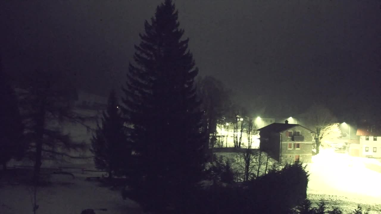 Camera en vivo Lokve – La belleza del bosque de Trnovo