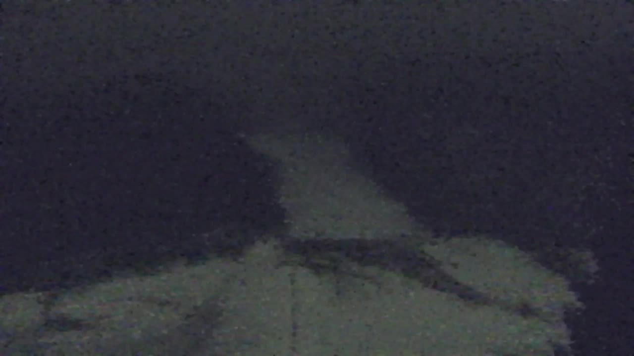 Camera en vivo Lokve – La belleza del bosque de Trnovo