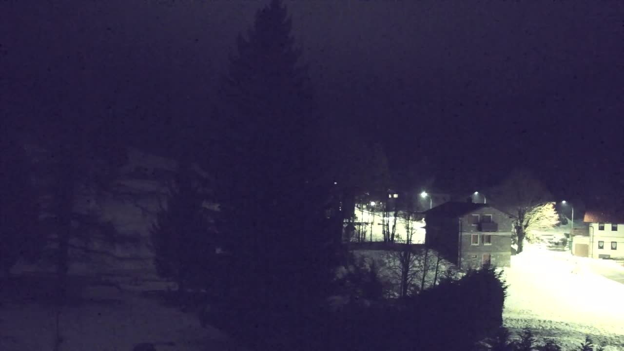 Webcam Loqua / Lokve – La bellezza della selva di Tarnova