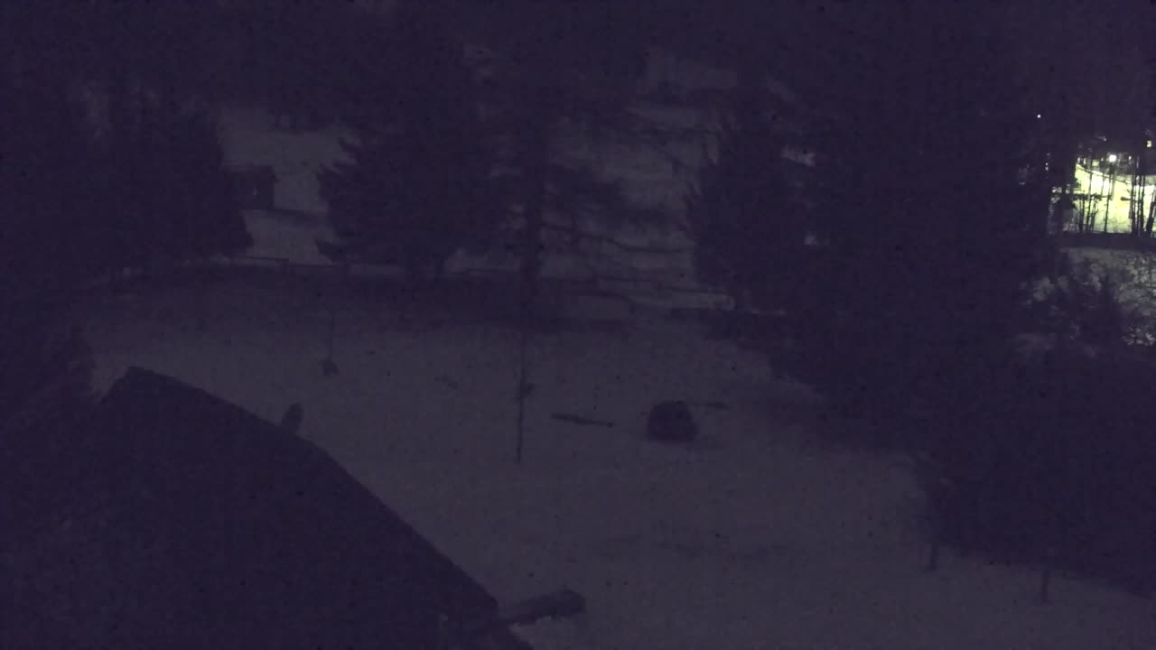 Webcam Lokve – The beauty of the Trnovo forest