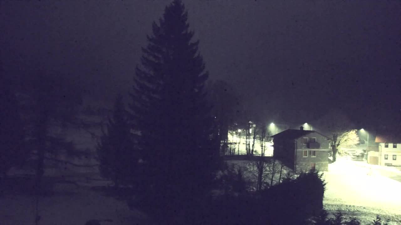 Webcam Lokve – Die Schönheit des Trnovo-Waldes