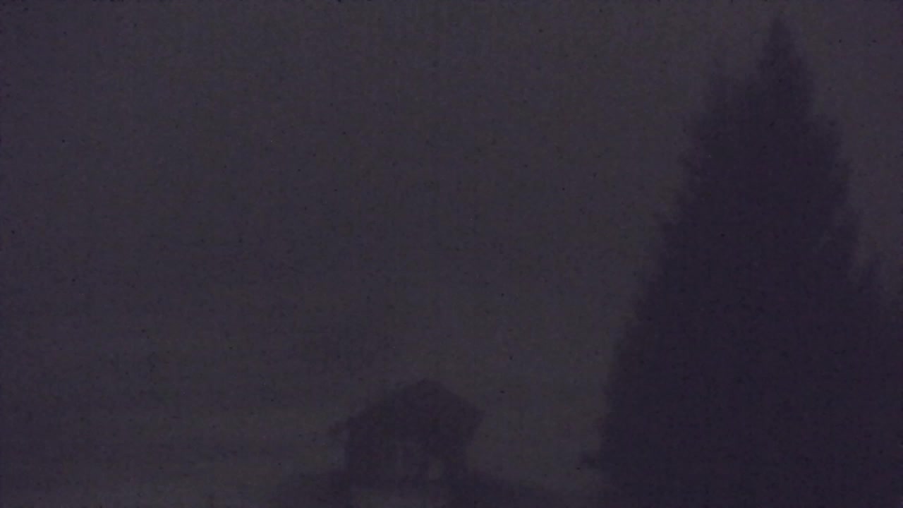 Webcam Lokve – The beauty of the Trnovo forest