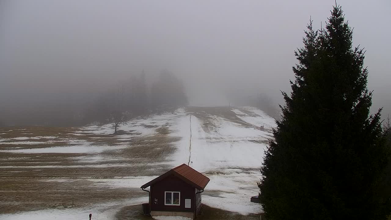 Webcam Lokve – Die Schönheit des Trnovo-Waldes