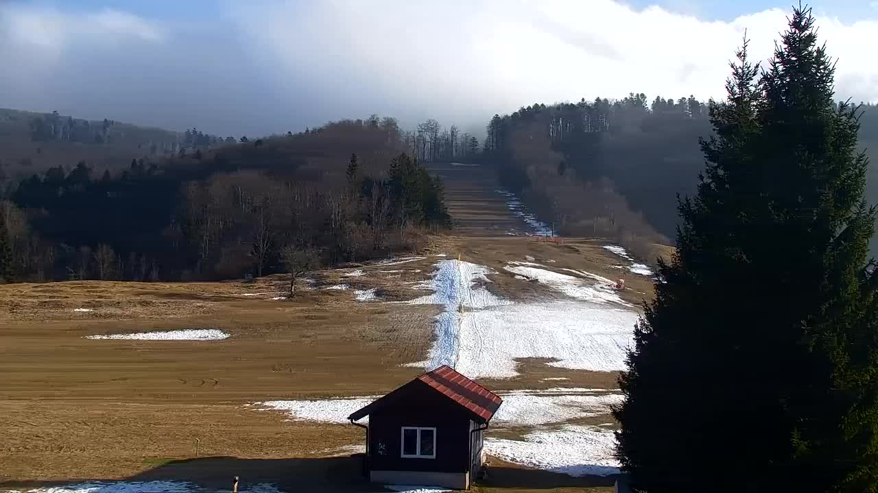 Webcam Lokve – The beauty of the Trnovo forest