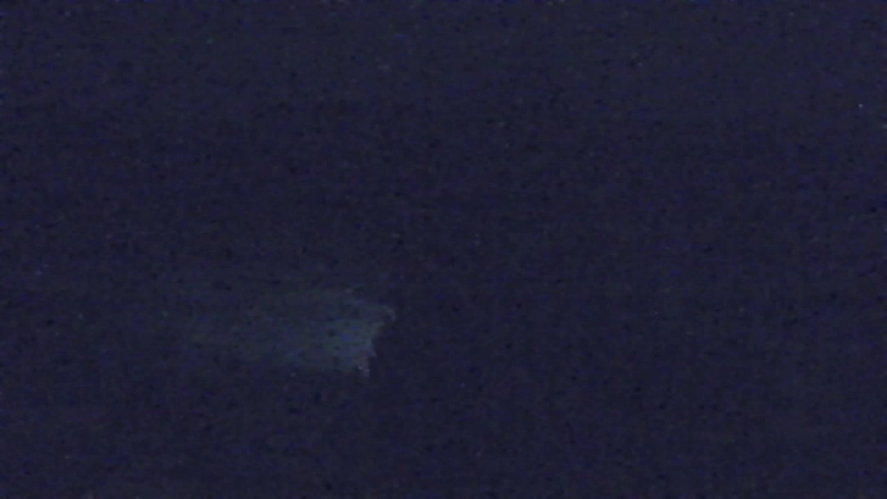 Web kamera Lokve – Ljepota Trnovske šume