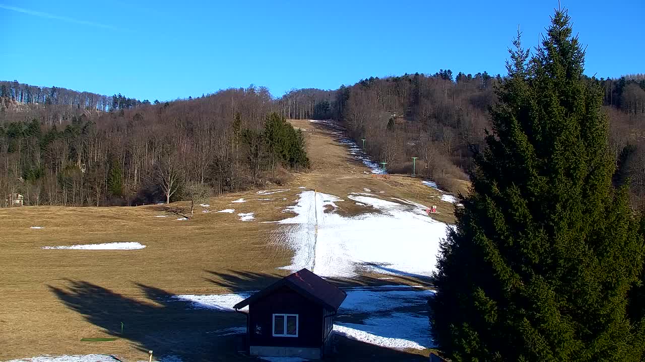 Webcam Loqua / Lokve – La bellezza della selva di Tarnova