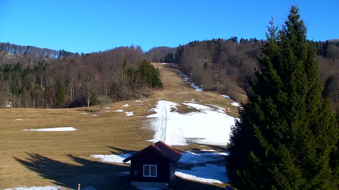 Webcam Loqua / Lokve – La bellezza della selva di Tarnova