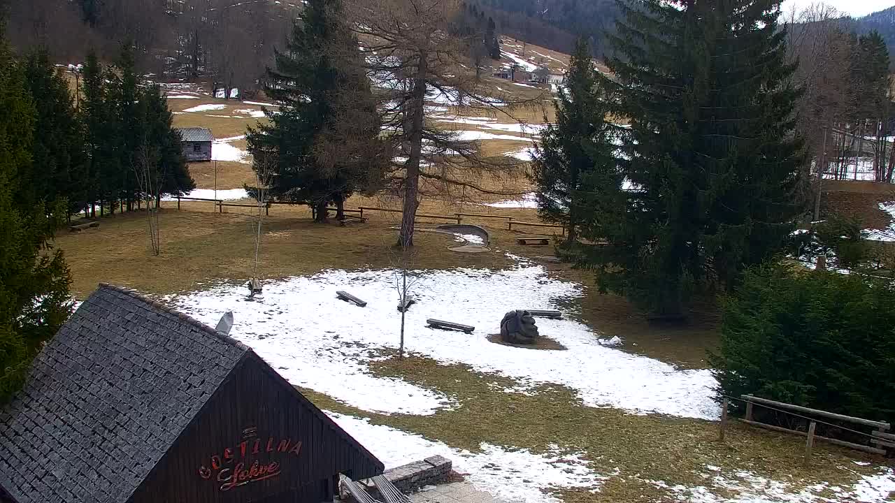 Web kamera Lokve – Ljepota Trnovske šume