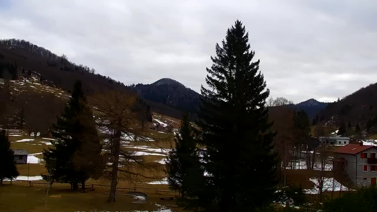 Webcam Lokve – The beauty of the Trnovo forest