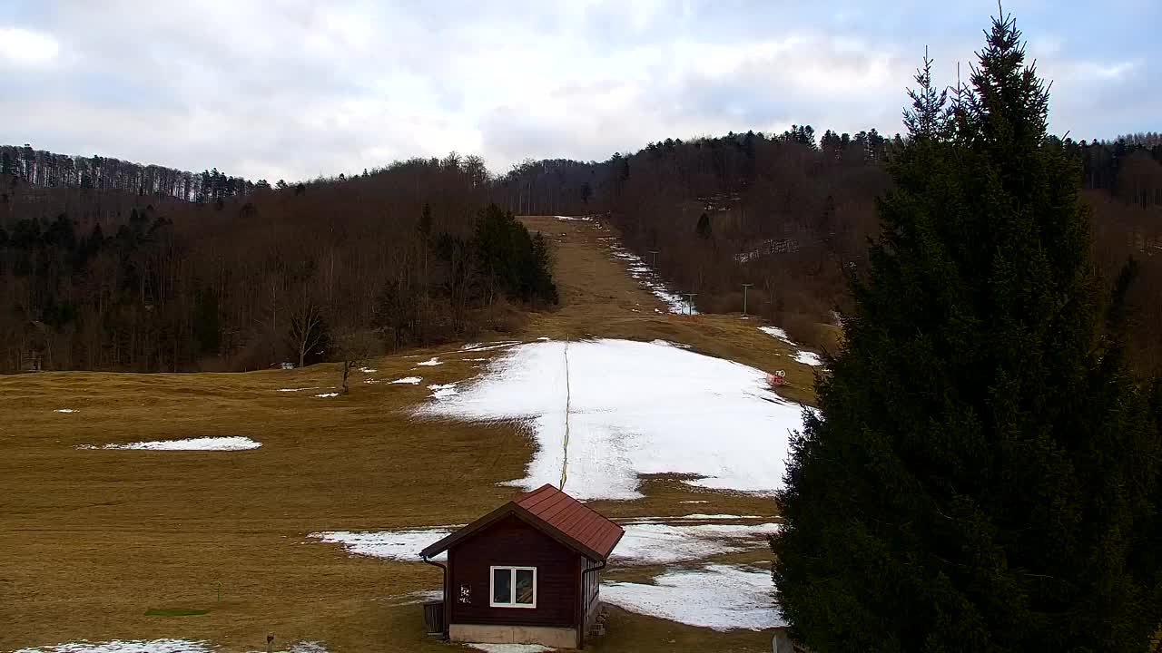 Webcam Loqua / Lokve – La bellezza della selva di Tarnova