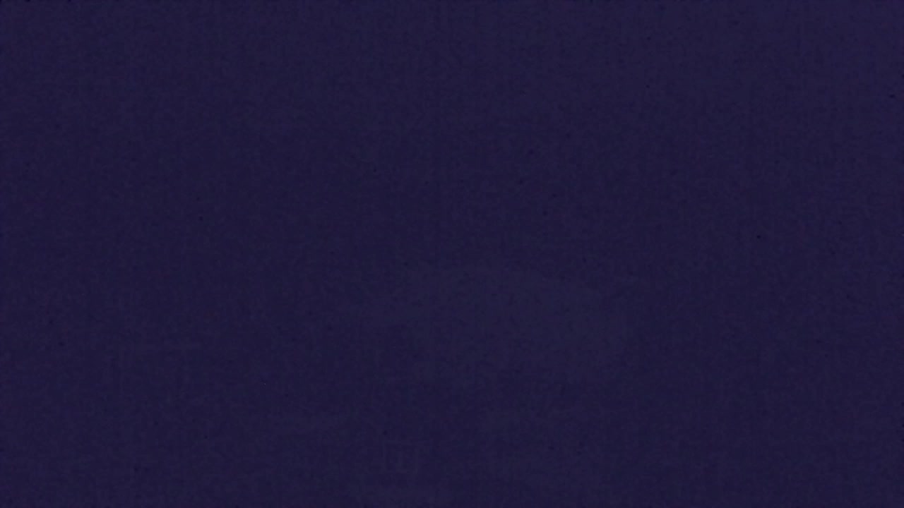 Web kamera Lokve – Ljepota Trnovske šume