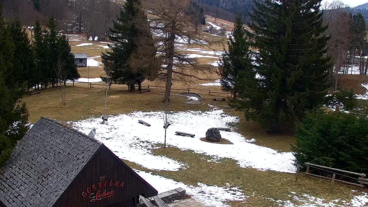 Web kamera Lokve – Ljepota Trnovske šume