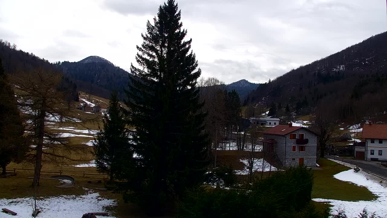 Webcam Lokve – Die Schönheit des Trnovo-Waldes