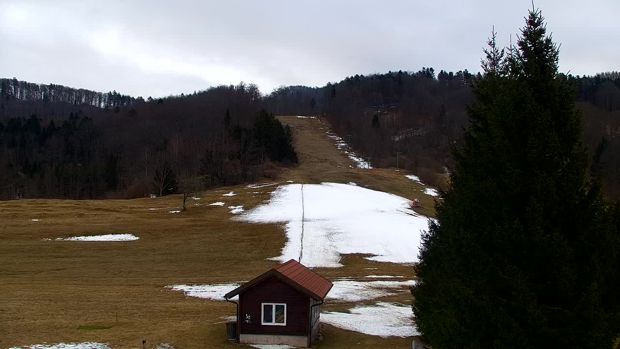 Webcam Lokve – Die Schönheit des Trnovo-Waldes