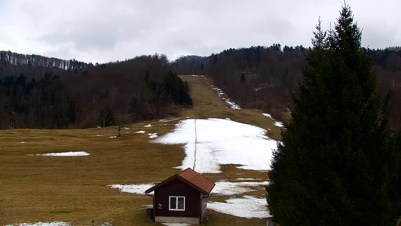 Lokve kamera – Naravne lepote Trnovskega gozda