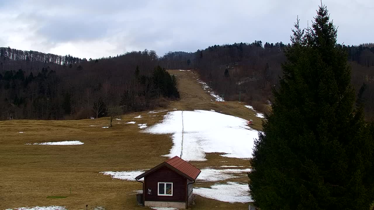 Webcam Loqua / Lokve – La bellezza della selva di Tarnova