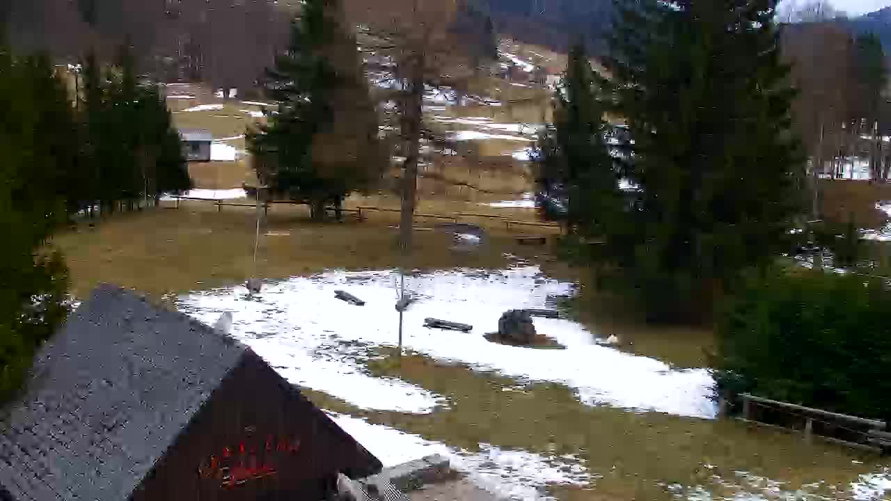 Webcam Lokve – The beauty of the Trnovo forest