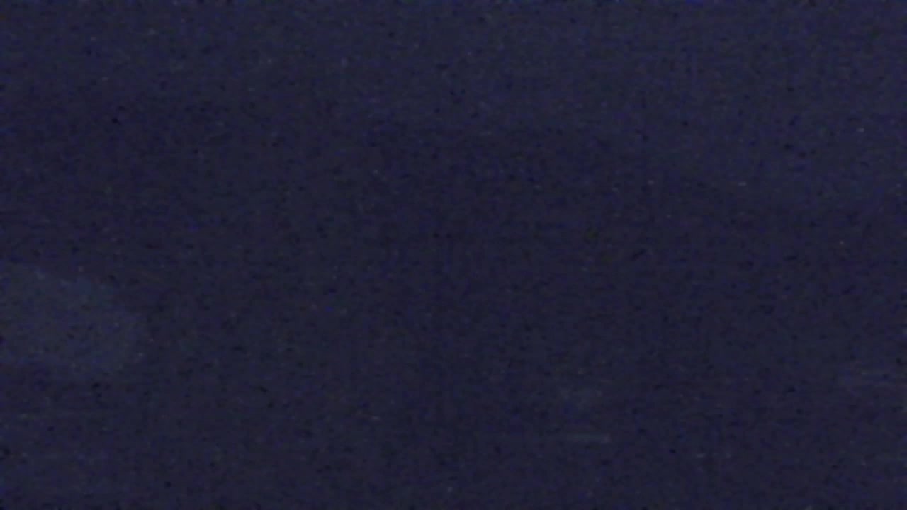 Webcam Lokve – The beauty of the Trnovo forest