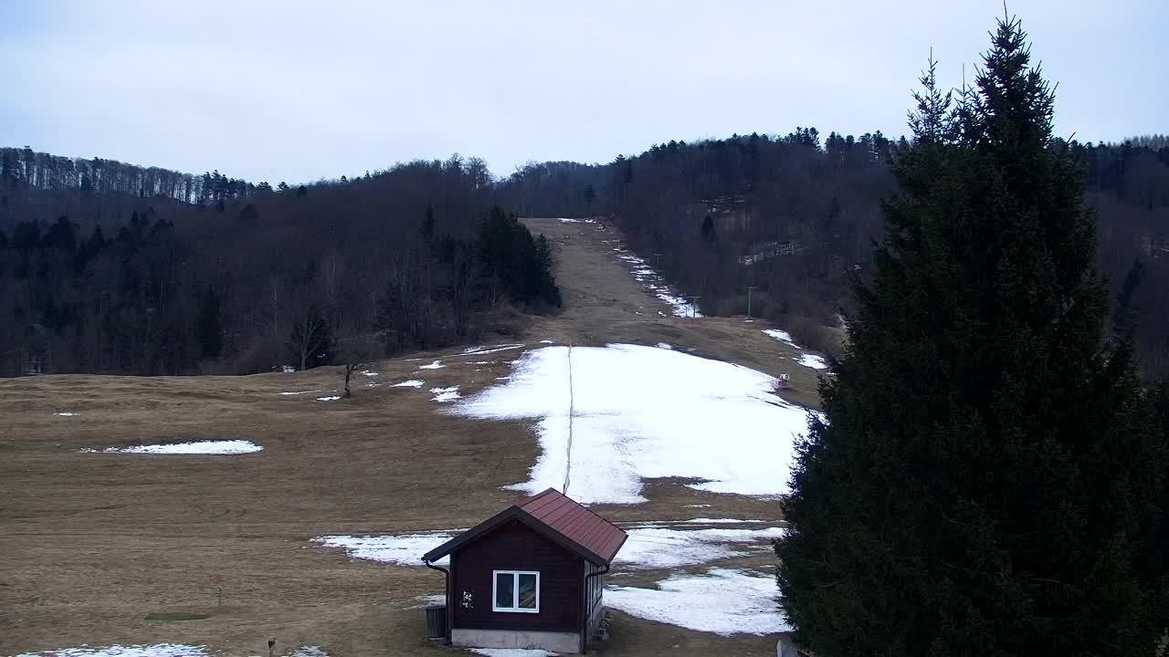 Webcam Lokve – La beauté de la forêt de Trnovo