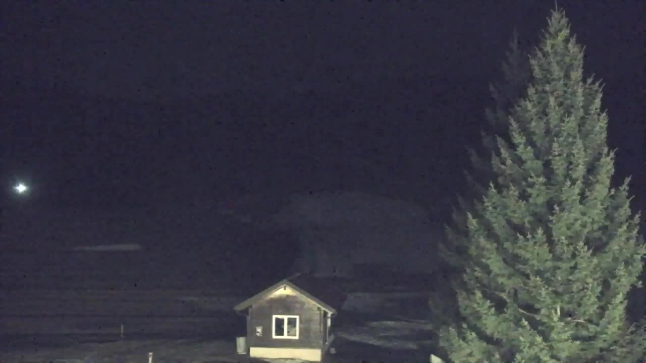 Webcam Lokve – La beauté de la forêt de Trnovo