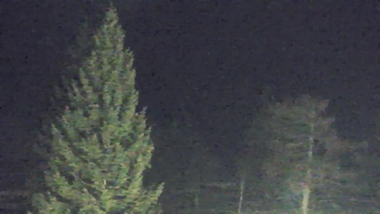 Webcam Lokve – The beauty of the Trnovo forest