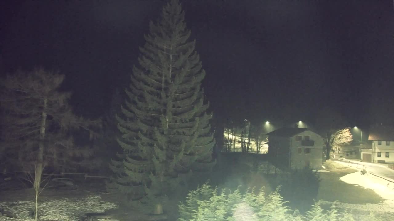 Webcam Loqua / Lokve – La bellezza della selva di Tarnova