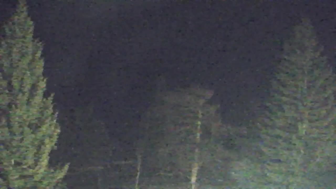 Webcam Lokve – The beauty of the Trnovo forest