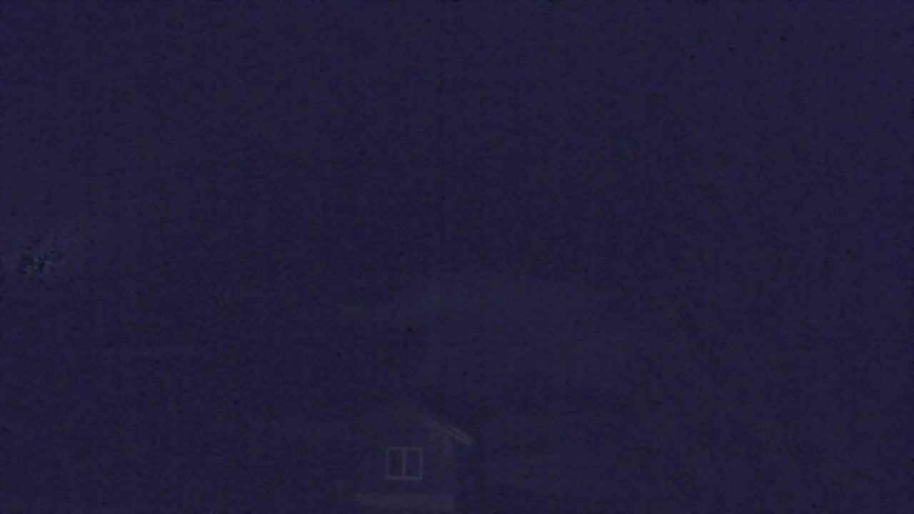 Webcam Loqua / Lokve – La bellezza della selva di Tarnova