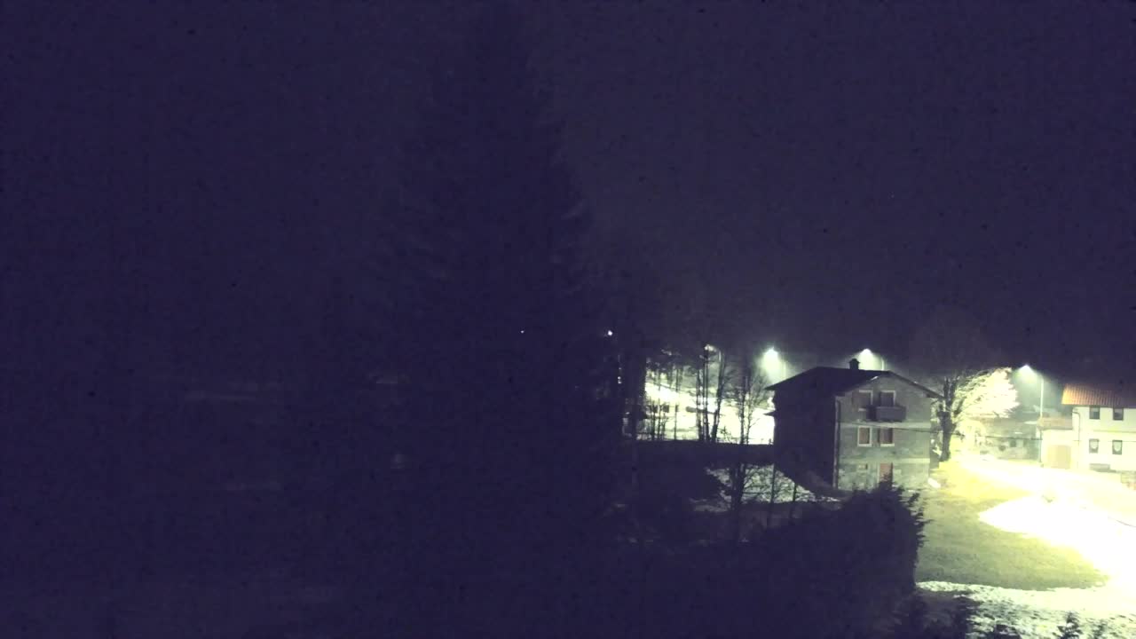 Webcam Lokve – The beauty of the Trnovo forest