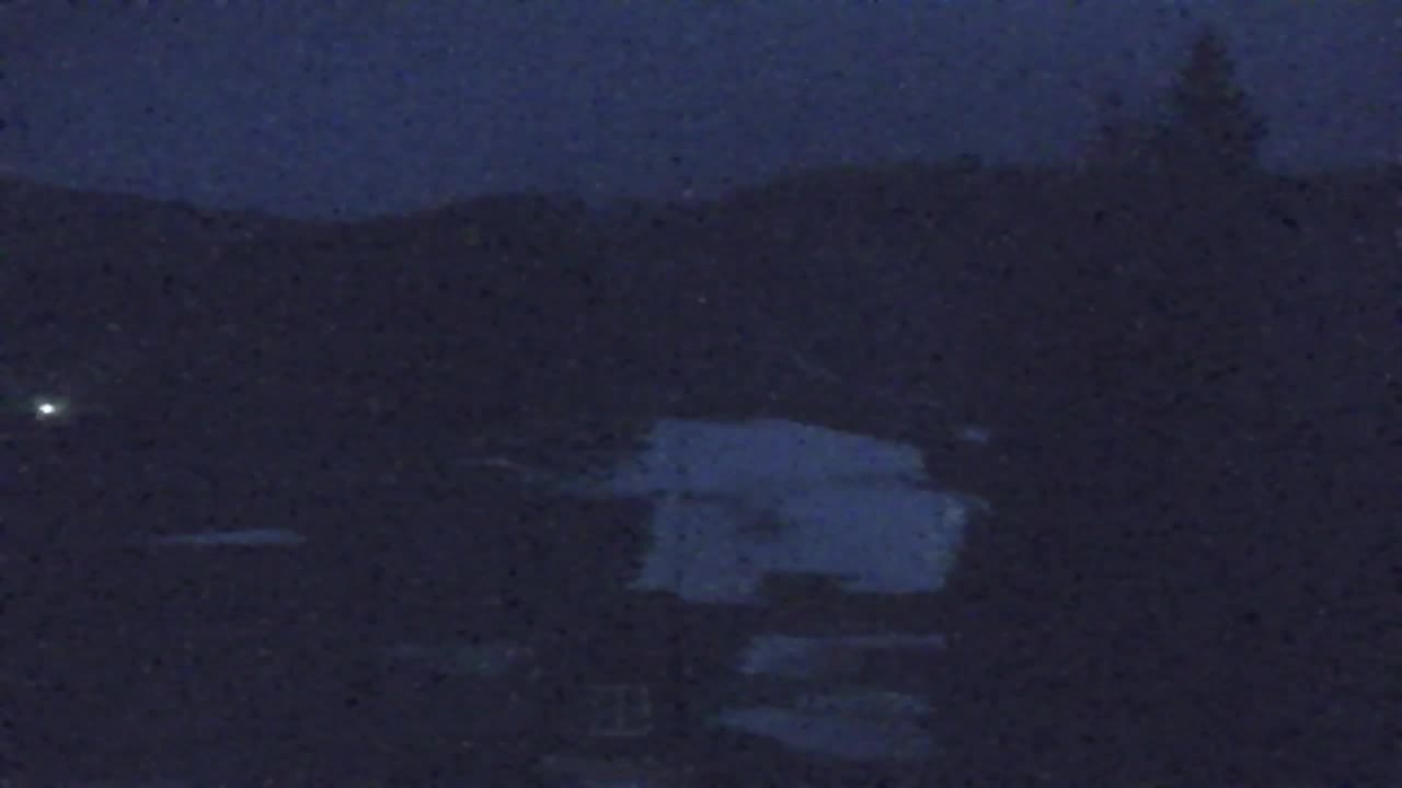 Webcam Lokve – The beauty of the Trnovo forest