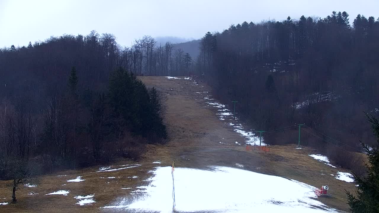 Camera en vivo Lokve – La belleza del bosque de Trnovo