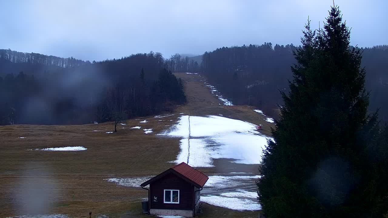 Webcam Lokve – The beauty of the Trnovo forest